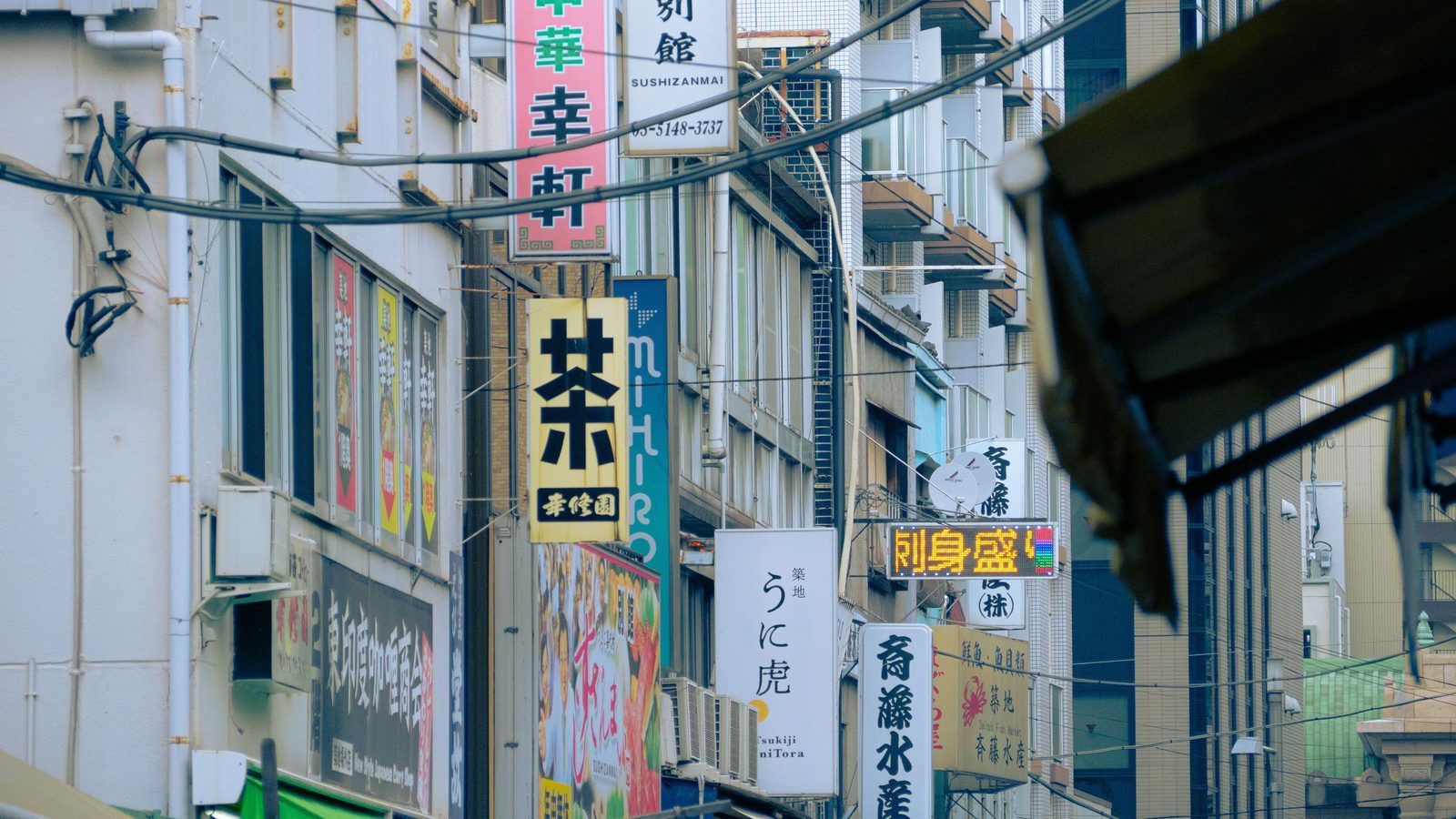 成型スパイクの画像